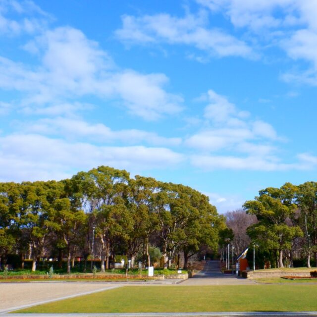 今日の大泉緑地。 ココシルおおいずみ緑地
